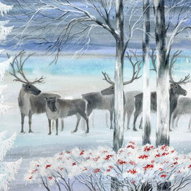 Северный день