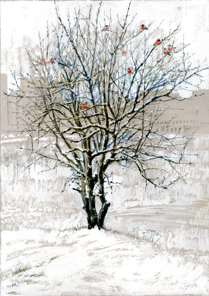 Выпал первый снег