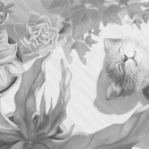 Сладкий сон чб