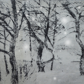 "Яблони зимой"