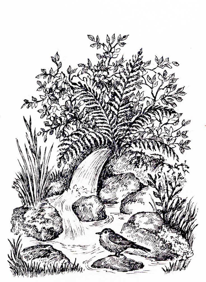 А. ФЕТ. стихотворения.