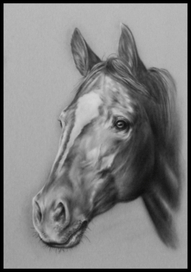 голова лошади