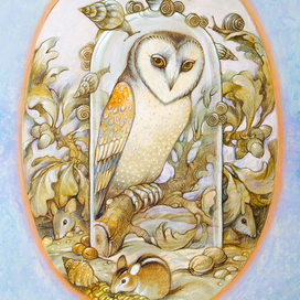 серия Редкие виды