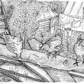 Ну, вот и штришочки :-). Яйлинские куры 