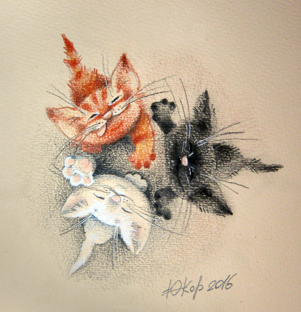 Хвостики попрошайки