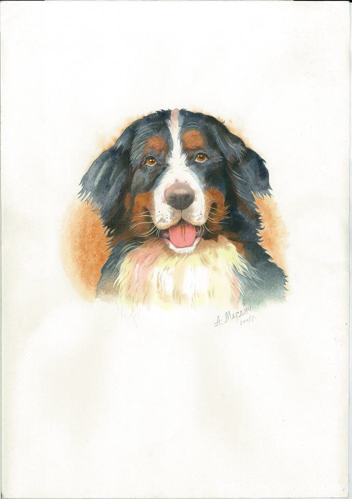 Собака-такая