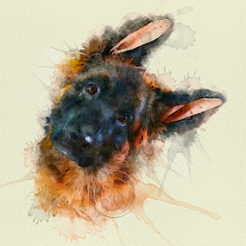 Малыш Луи (Швальбеннест Хеллоуин)