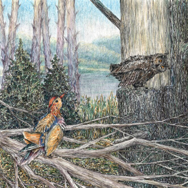 Иллюстрация для сказок "Несоленого моря"