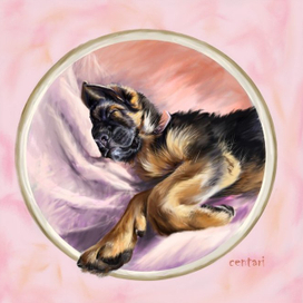 не будите спящую собаку-2, маленький Амур