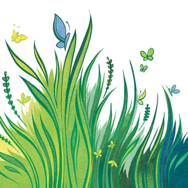 "Почему трава зеленая"