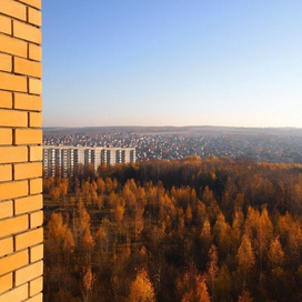 Ноксинский Лес Восток