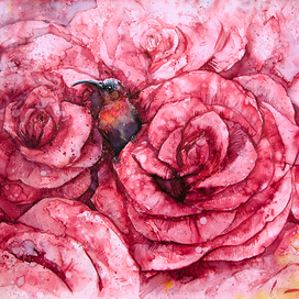 Нектарница в розах