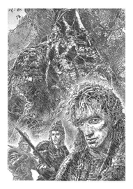 Дорога в сказку, Иллюстрация № 17 - Лесные эльфы Каурлин-Хура.