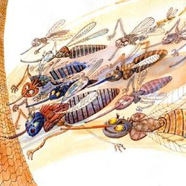 Олег Тарутин, "Что лежало в рюкзаке". Полог.