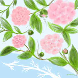 camellia