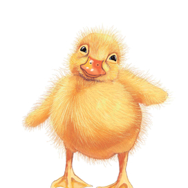 Ещё заставки