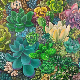 Интерьерная картина на холсте "суккуленты"