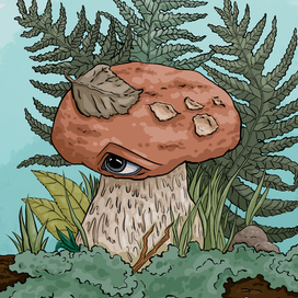 Белый гриб-наблюдатель