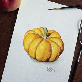 Pumpkin // Тыква