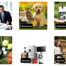 Исполнение любой заветной мечты с проектом «На мечту»