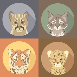 Big cats