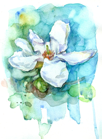 Магнолия   2006