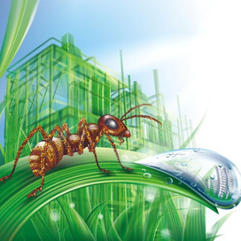 нано-муравей