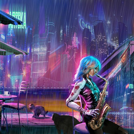 Кот на перекрестке