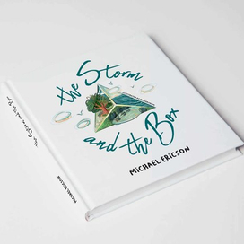 Обложка "The Storm & The Box" 