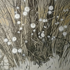 Зимние цветы