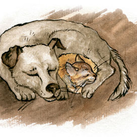 странная дружба