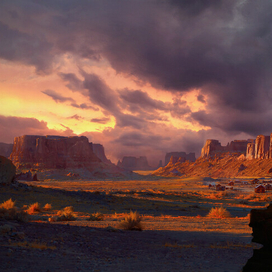 Дикий запад