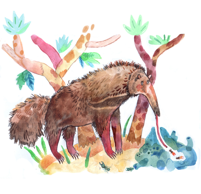 Понявший многое муравьед