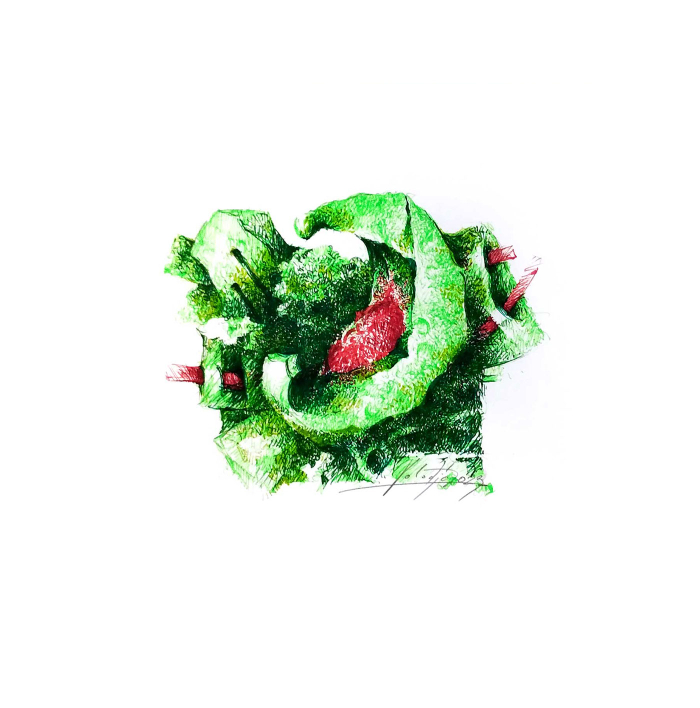 Потерянное семя Лунного фрукта...