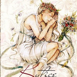 Обложка для книги (чешский)