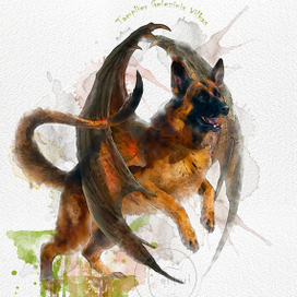 Тамплиер Железный Волк