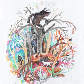 Таинственный лес