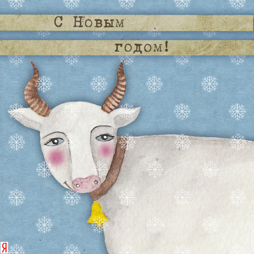 (без названия)