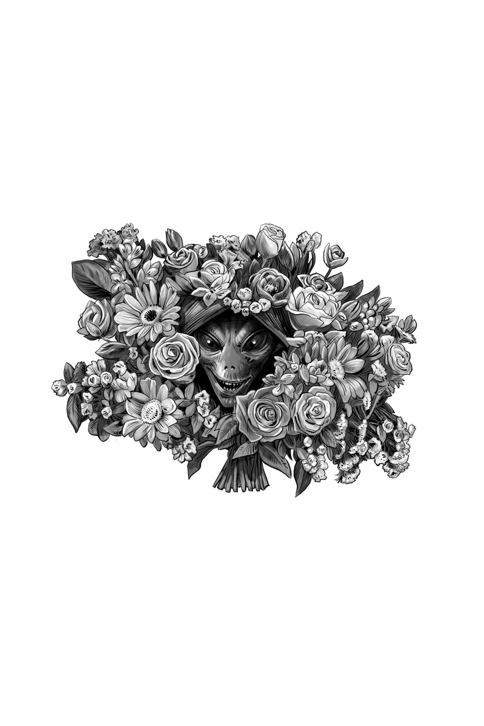 Титул к книге