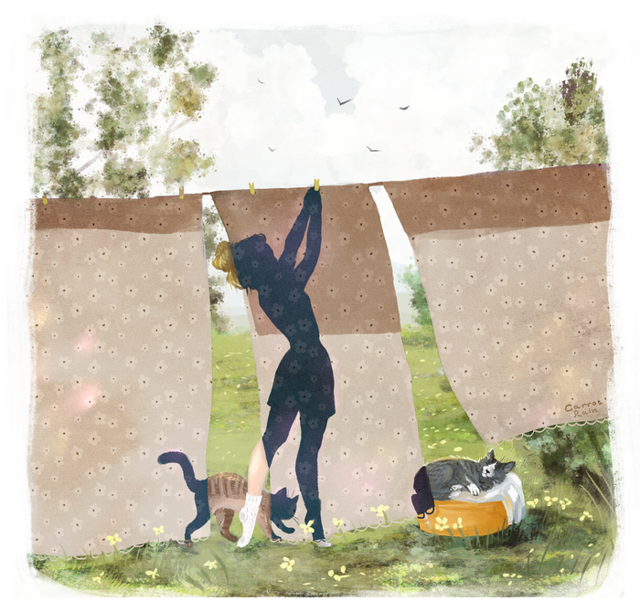 Занавесочки