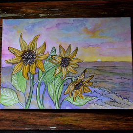 подсолнухи на закате