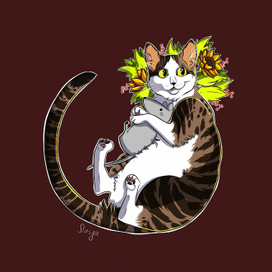 Счастливый котик 