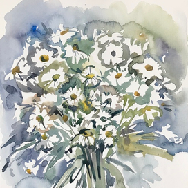 Хризантемы 