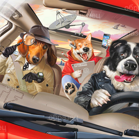 Мы едем, едем, едим......