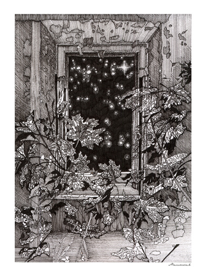 в раме окна