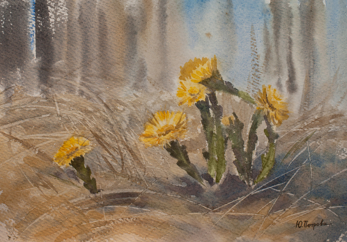 Мать-и-мачеха