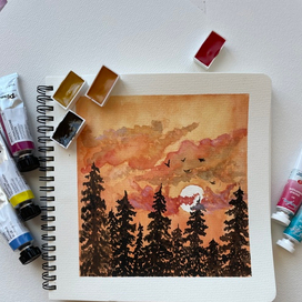 Закат в лесу