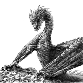 Дракон Смауг