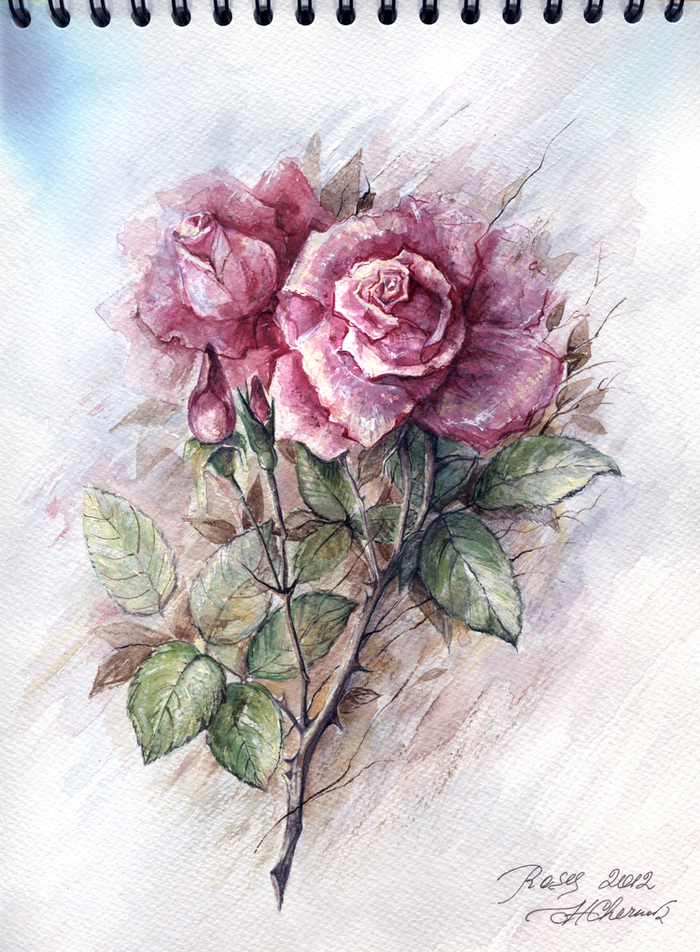 Розовые розы