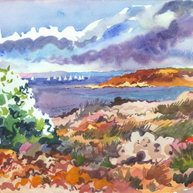 Регата в Севастополе